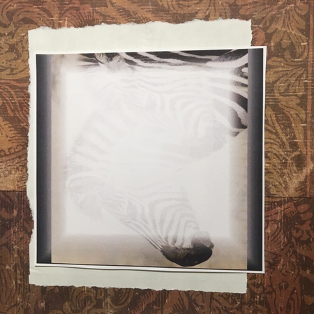 Because We Love Furries - Beautiful Zebras + Insert & Tag by Darlene Handorff