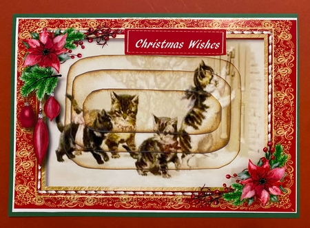Christmas Cats in a Stitched Frame (Ppyramid) by Darlene Handorff