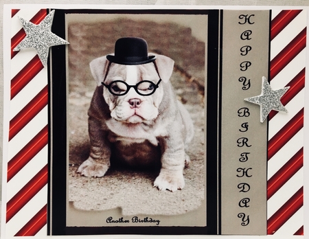 the bulldog wrinkles by Darlene Handorff