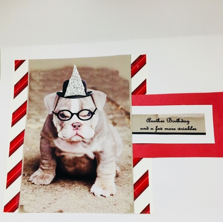 the bulldog wrinkles by Darlene Handorff