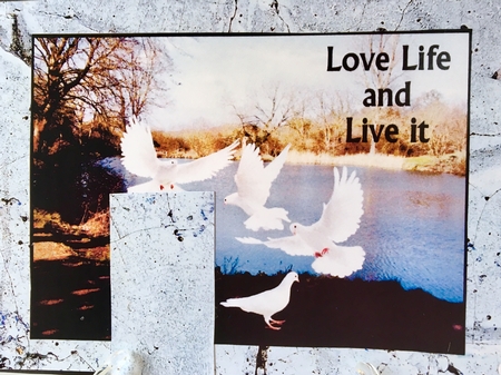  peace by Darlene Handorff