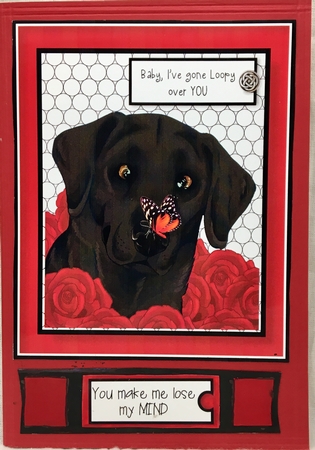 Cross-eyed Labrador Card Topper  by Darlene Handorff