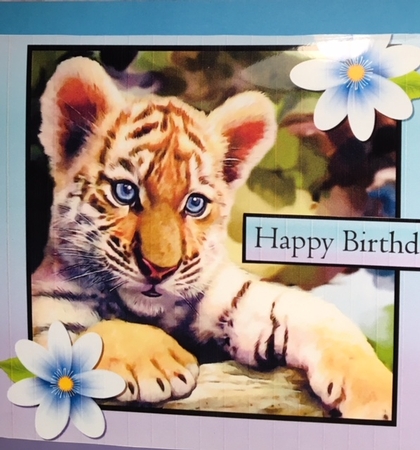 TIGER CUB 8x8 by Darlene Handorff