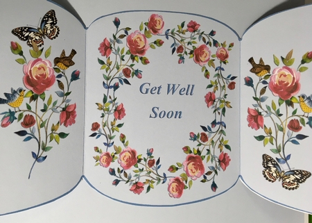Rambling Roses 3 Panel Gatefold Card Kit - Get Well Soon by Darlene Handorff