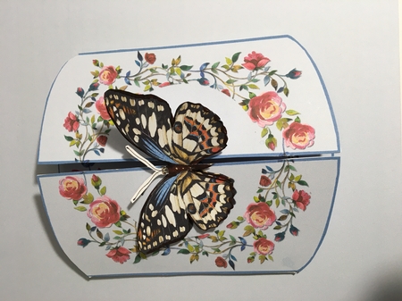 Rambling Roses 3 Panel Gatefold Card Kit - Get Well Soon by Darlene Handorff