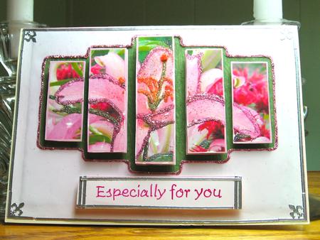 Brand New Gorgeous Flower Pyramid Panel Card Kit by Darlene Handorff