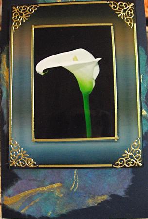 A4 "white Calla in Brown Frame" by Darlene Handorff
