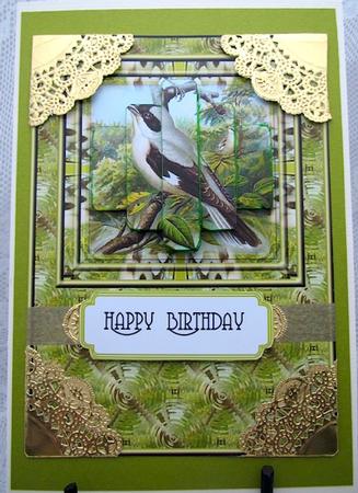 Lesser Grey Shrike by Darlene Handorff