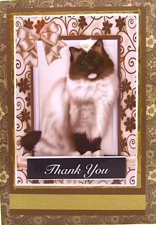 Brown/white Beautiful Persian in Floral Frame A4 by Darlene Handorff