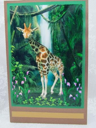 Giraff in the Falls by Darlene Handorff