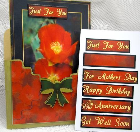Envelope Card Poppies by Darlene Handorff