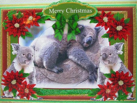 Koala at Christmas Card with Pyramid and 3D by Darlene Handorff