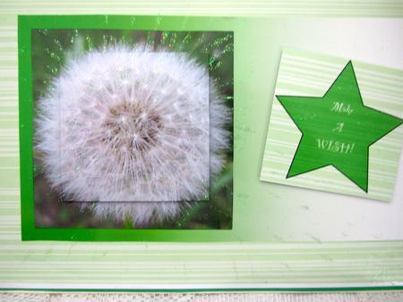 Dandelion Seed Head Square Pyramid by Darlene Handorff
