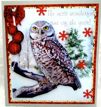 Beautiful Barn /tawney Owl by Darlene Handorff