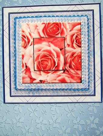 Pink Rose Square by Darlene Handorff