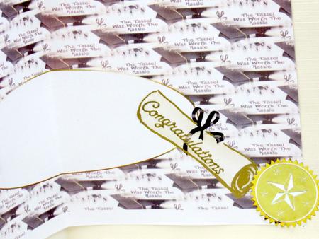 The Tassel Was Worth the Hassle Insert by Darlene Handorff