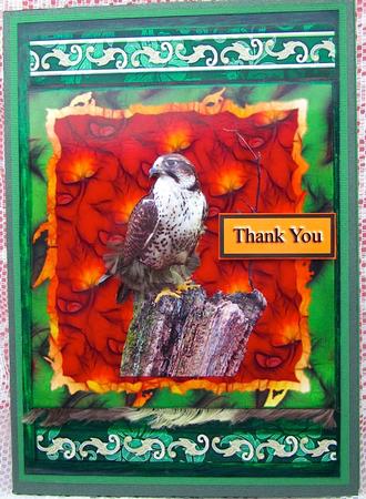Hawk Leaf Card Top with Wine Bottle Tag & Decoupage by Darlene Handorff