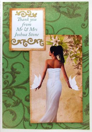 Bride in White Dress Insert by Darlene Handorff