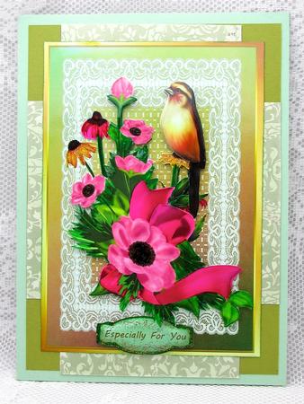 Lovely Finch Sitting on a Flower  by Darlene Handorff