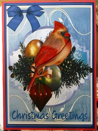 Beautiful Cardinal in a Blue Frame by Darlene Handorff