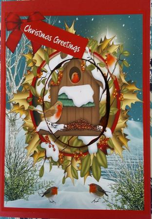 Lovely Robins in the Wild by Darlene Handorff