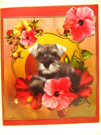 Schnauzer Hibiscusblooms Topper with Decoupage by Darlene Handorff