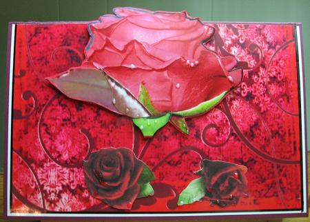 Anemone Backing Paper by Darlene Handorff