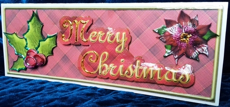 Red Tartan Merry Christmas with Holly by David Cooke