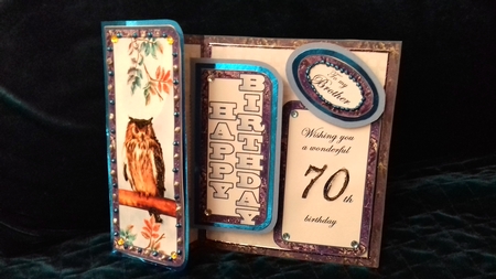 Fbp Owl 70th Birthday by David Cooke