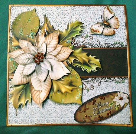 Christmas Poinsettia White 714 by David Cooke