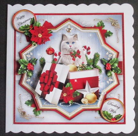 Christmas Winter Surprise Box Mini Kit by Davina Rundle