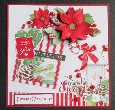 Mistletoe and poinsettia by Davina Rundle