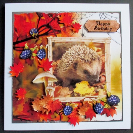 Dear Brother Bumper Kit 1 by Davina Rundle