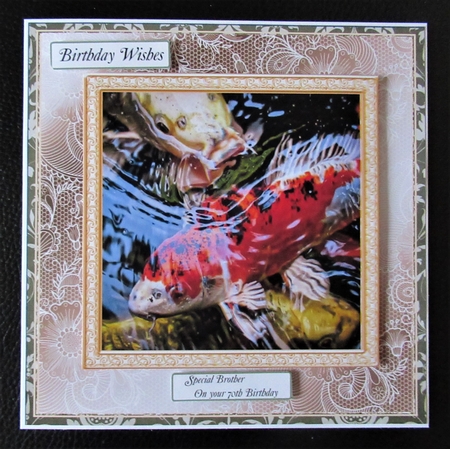 CHOOSE YOUR SENTIMENT DONT BE KOI by Davina Rundle
