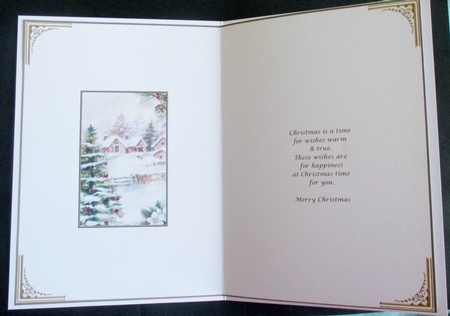 Christmas Village Insert  by Davina Rundle