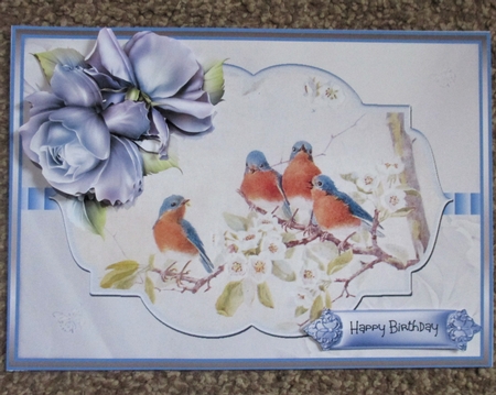 Summer birds and rose by Davina Rundle