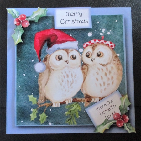 Christmas Couple - Festive Owls by Davina Rundle