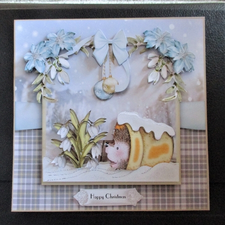 Hibernating Hedgehog  by Davina Rundle