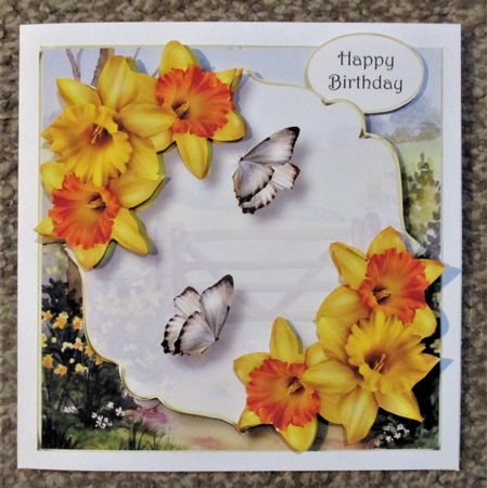 Scenic Spring - Daffodils by Davina Rundle