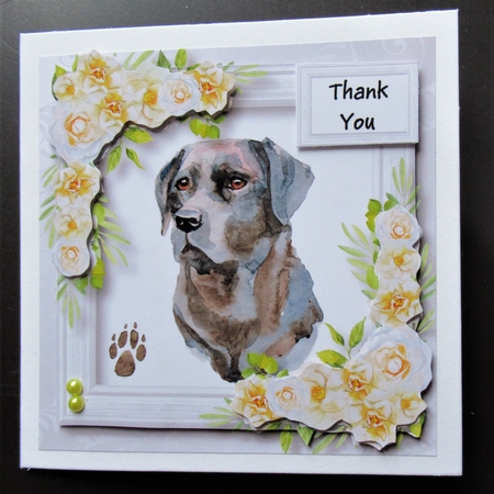 Beautiful Black Lab & White Camellias by Davina Rundle