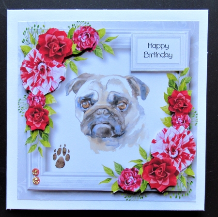 Beautiful Pug & Red Camellias by Davina Rundle