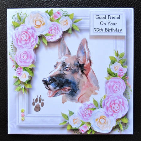 Beautiful German Shepherd & Pink Camellias by Davina Rundle