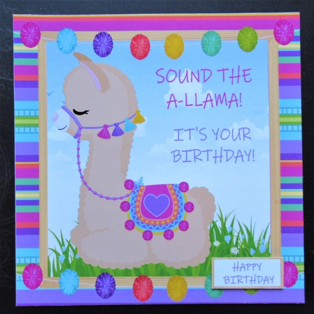 Sound the a-llama its your birthday 8x8 Mini Kit by Davina Rundle