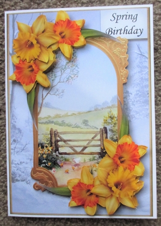 A Portal Into Spring - Daffodils by Davina Rundle