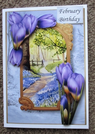 A Portal Into Spring - Crocus by Davina Rundle