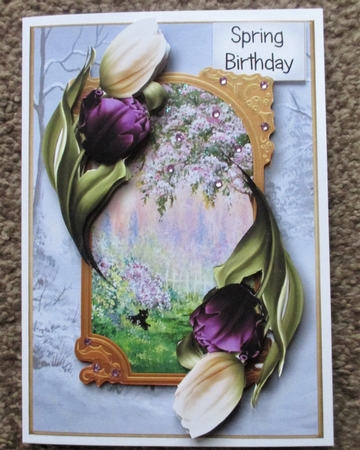A Portal Into Spring - Tulips by Davina Rundle