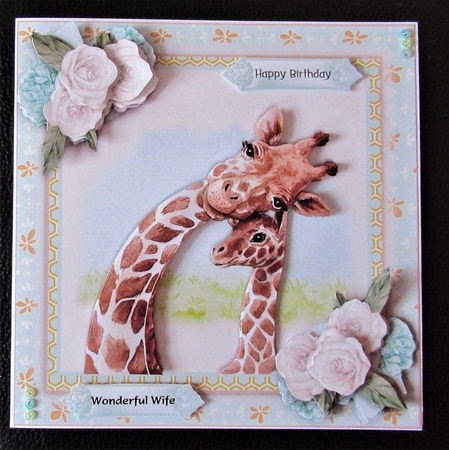 Cutest Giraffes  by Davina Rundle