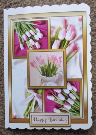 TS Pink tulips by Davina Rundle