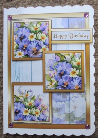 TS Pansies & primroses by Davina Rundle
