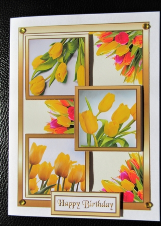 TS Yellow tulips by Davina Rundle